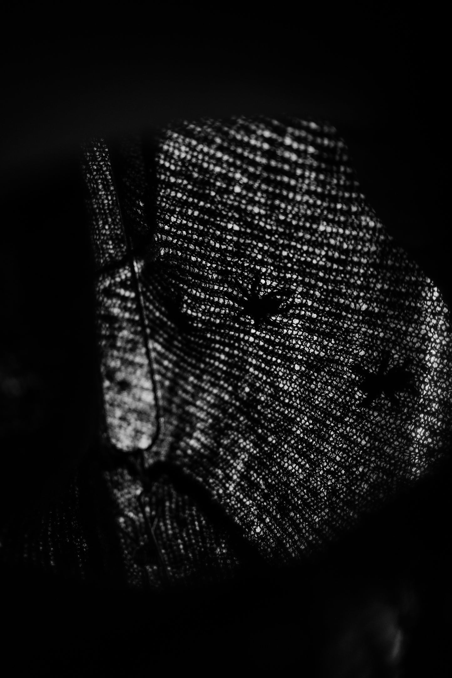 Undercover F/W2006 “GURUGURU” - “Bugs” Mohair Turtleneck Sweater
